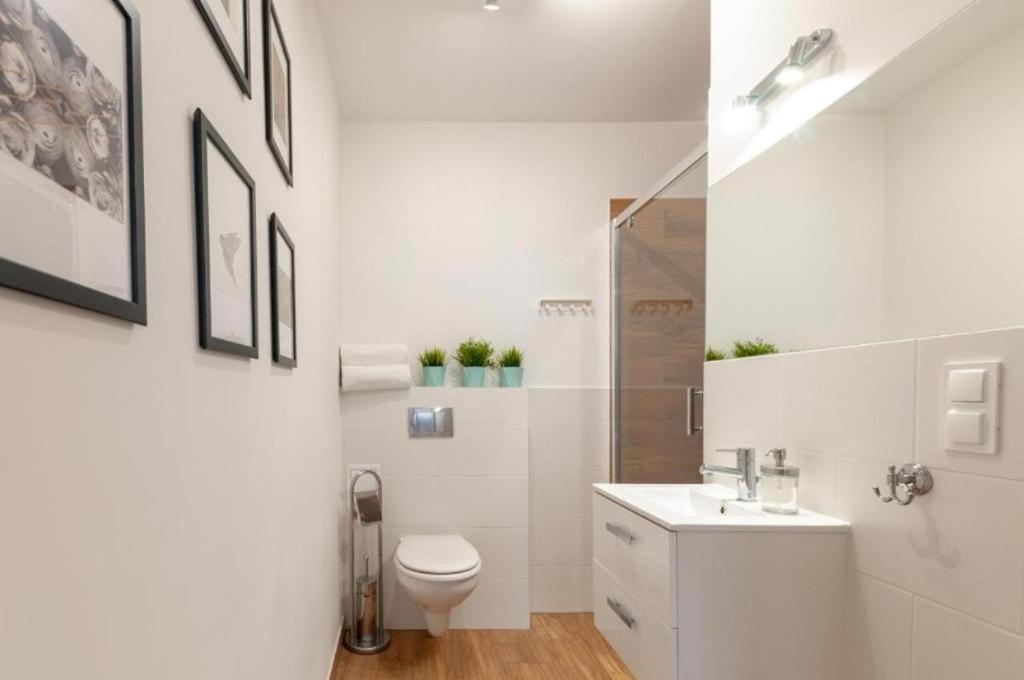 Apartament W Sercu Torunia *
